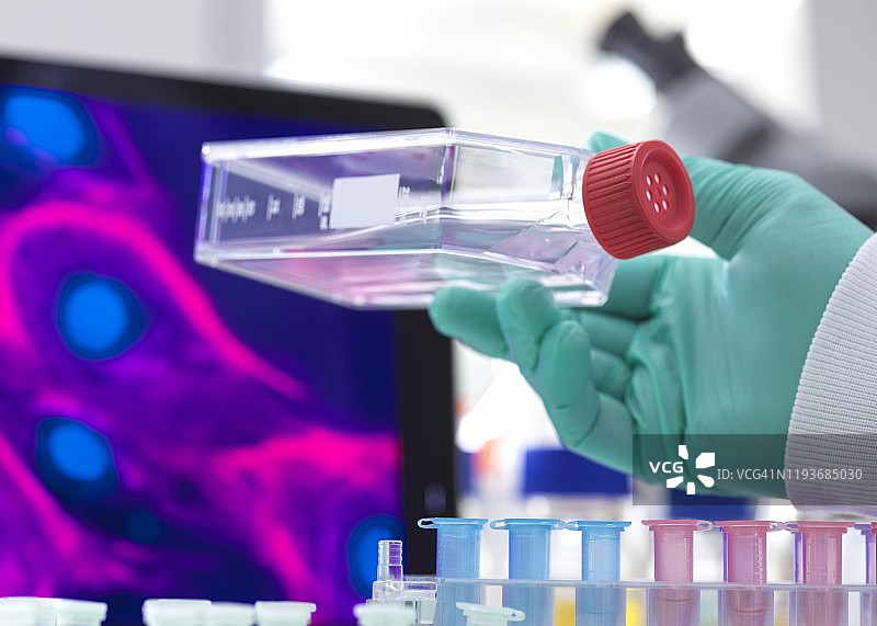 干细胞研究图片素材