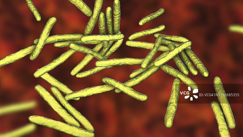 麻风杆菌插图图片素材