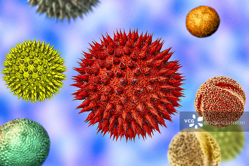 不同植物的花粉颗粒插图图片素材