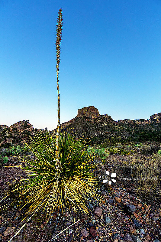 索托尔和卡萨格兰德图片素材