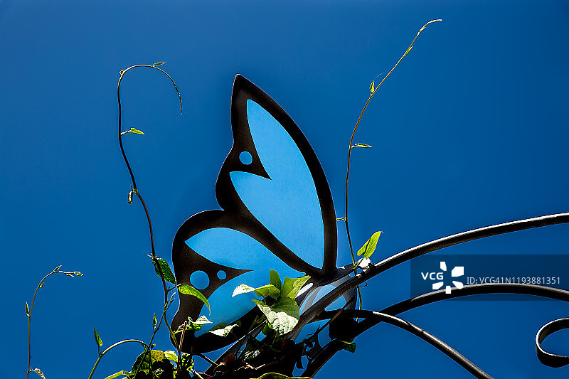 蝴蝶标志图片素材