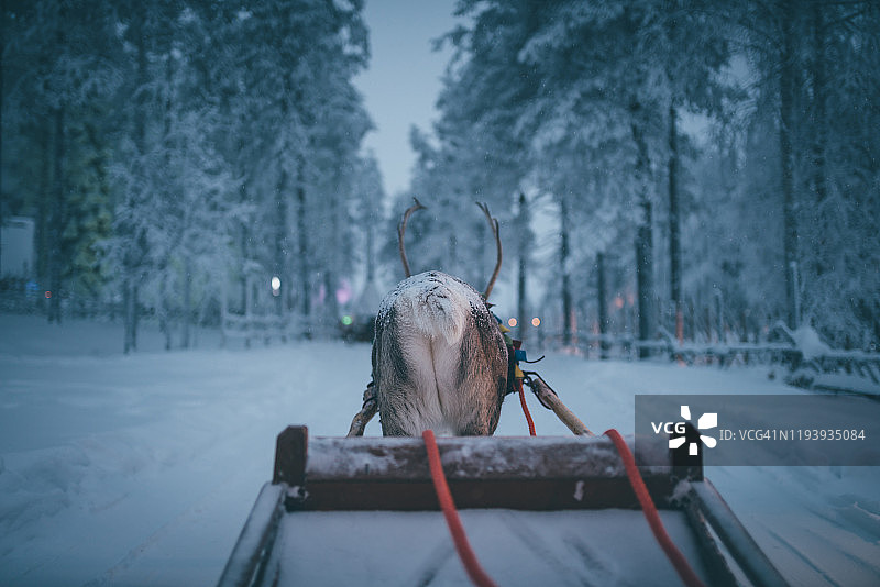 圣诞老人村罗瓦涅米冬季的驯鹿雪橇图片素材