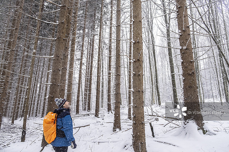 男子欣赏冬季的树木图片素材