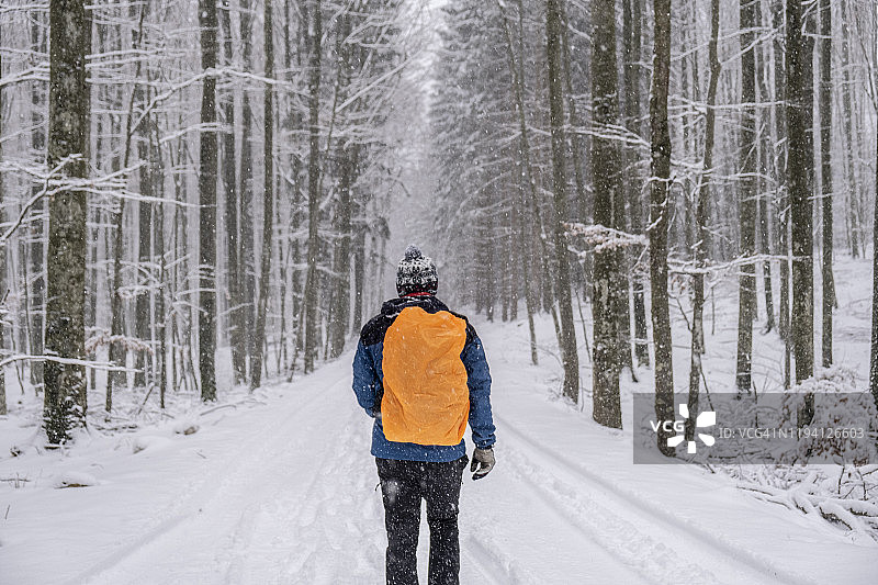 在白雪皑皑的森林中徒步旅行的背包男子的背面图片素材