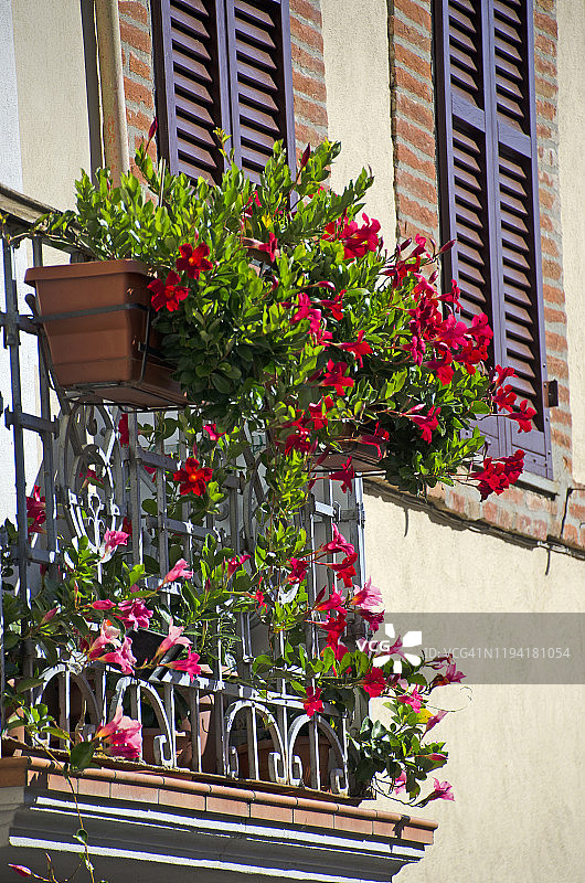 卡斯蒂利翁德尔拉戈的阳台鲜花图片素材
