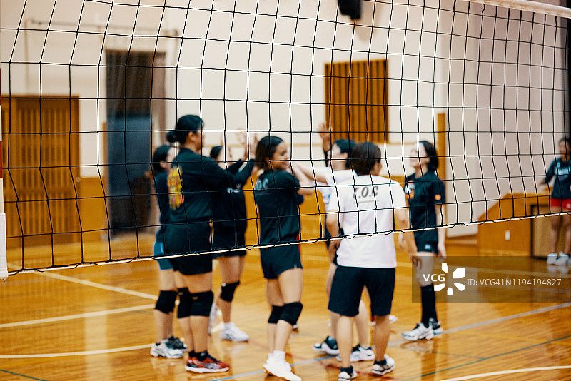 社区排球比赛中庆祝的妇女图片素材