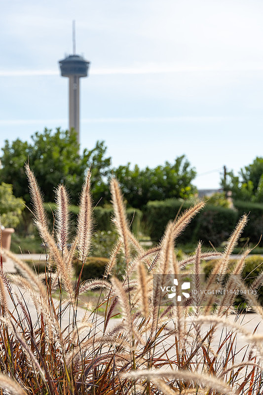 美国德克萨斯州圣安东尼奥城市天际线景观图片素材