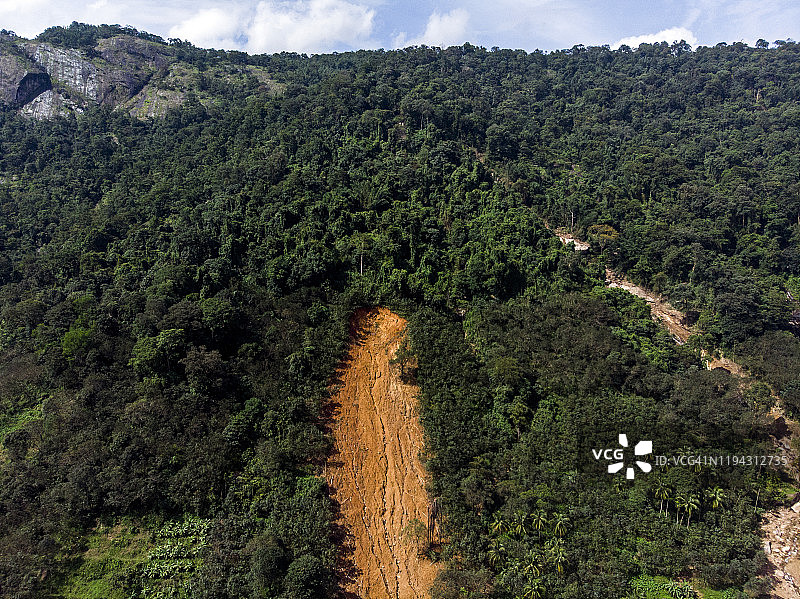 滑坡袭击橡胶园图片素材