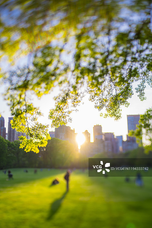 2019年5月11日，纽约中央公园西区沐浴在春日落日余晖中，照亮着建筑、绿树和绵羊草地上的人们图片素材