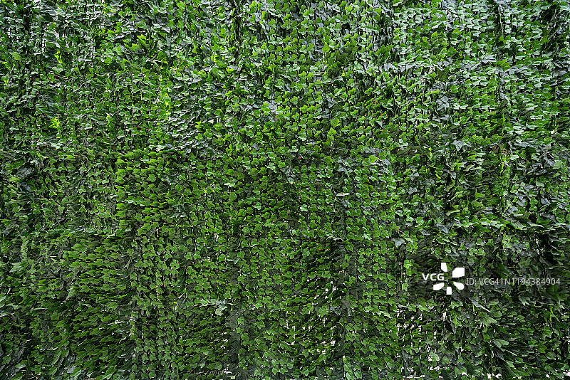 伪装网图片素材