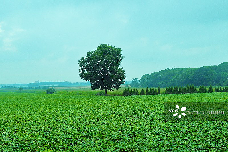 富良野，北海道图片素材