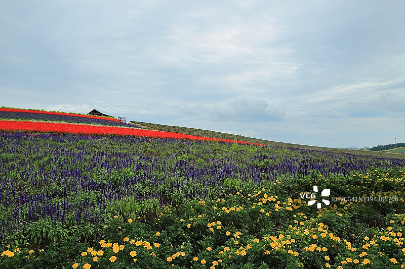 富良野，北海道图片素材