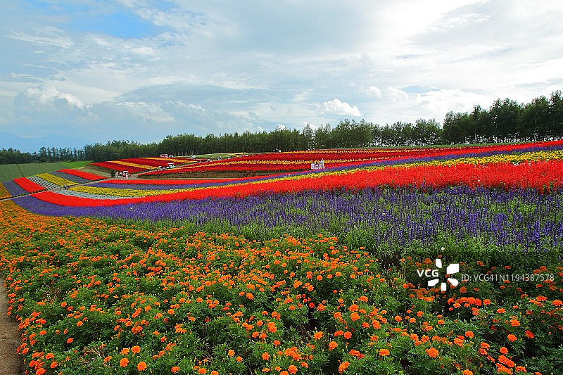富良野，北海道图片素材