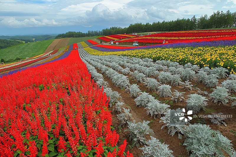 富良野，北海道图片素材