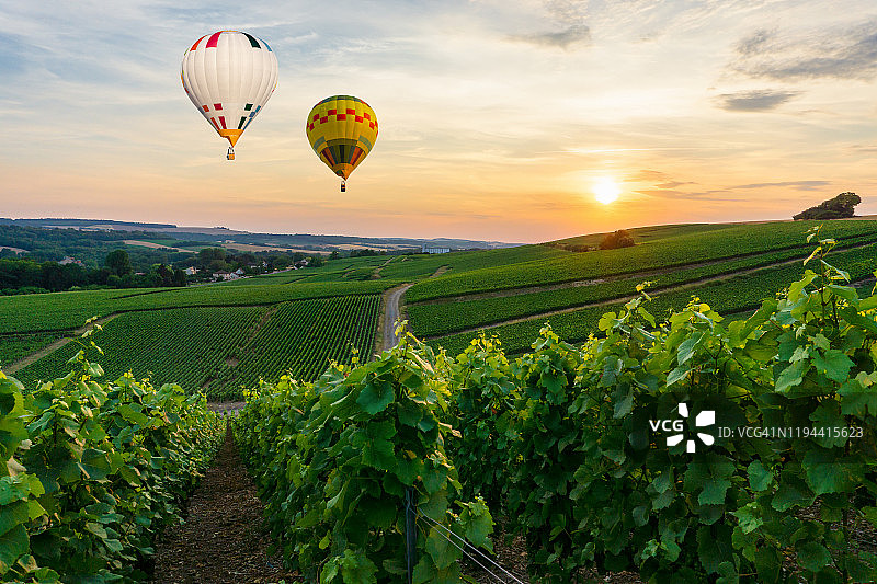 兰斯山香槟葡萄园上空飞行的彩色热气球图片素材