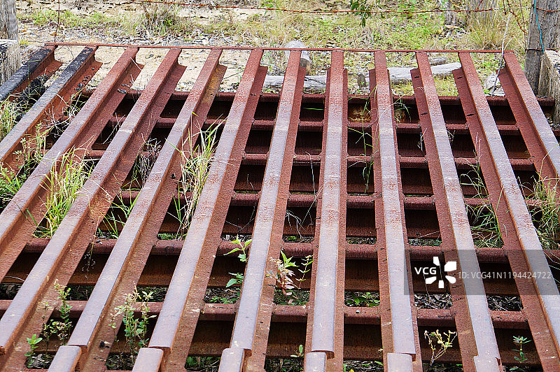 金属牛栅栏图片素材