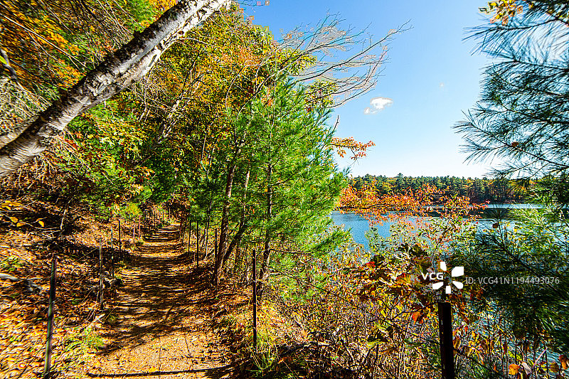 沿着康科德瓦尔登湖的步行道，马萨诸塞州图片素材