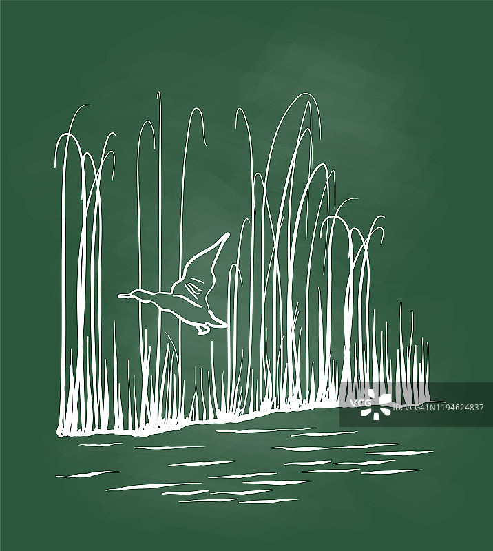 飞鸭黑板图片素材