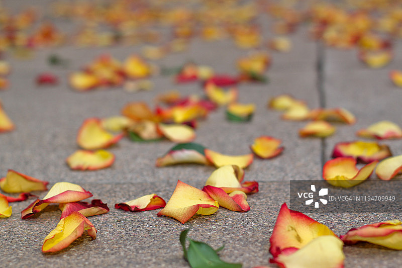 婚礼鲜花图片素材