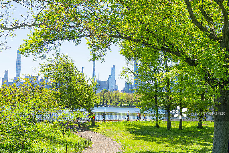 纽约中央公园水库：曼哈顿中城摩天大楼与绿叶图片素材
