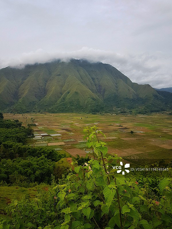 美丽的农田风光：龙目岛林贾尼火山附近的武吉斯隆景色图片素材