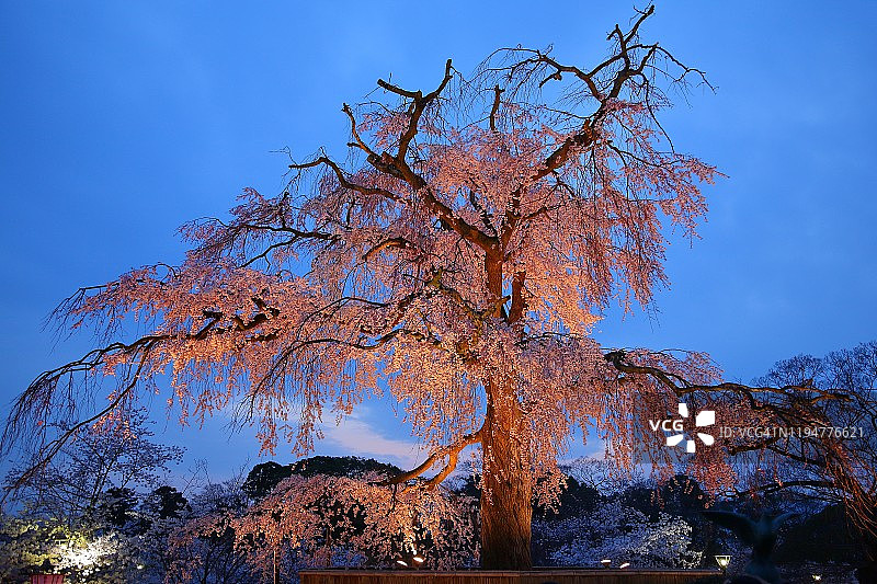 圆山公园图片素材