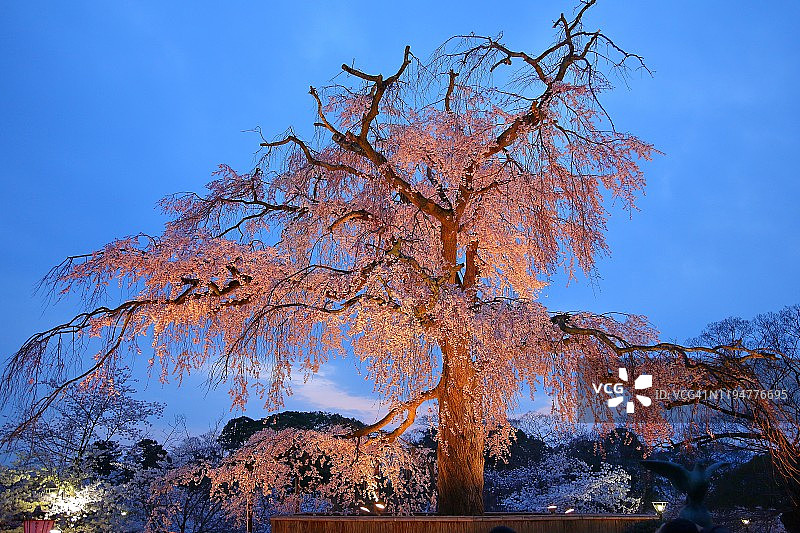 圆山公园图片素材