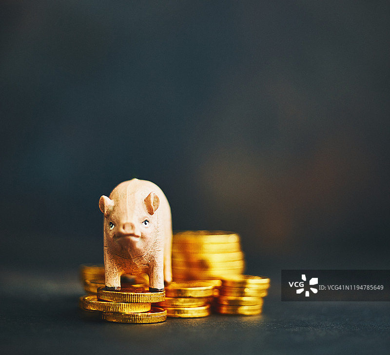 装满金币的小猪存钱罐储蓄背景图片素材