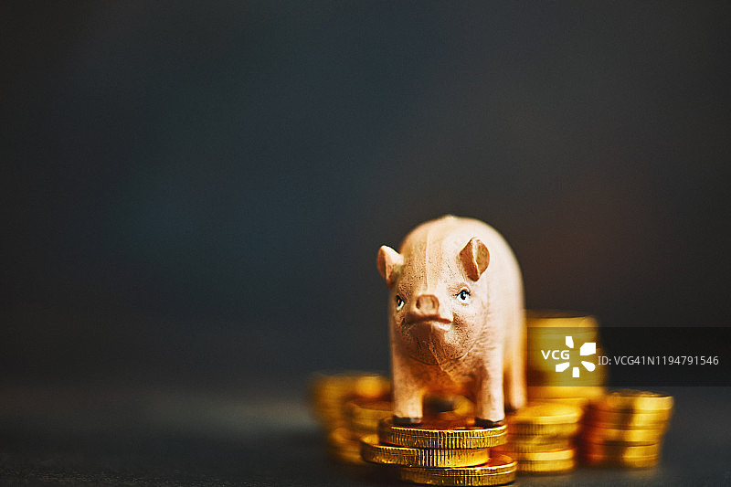 装满金币的小猪存钱罐储蓄背景图片素材