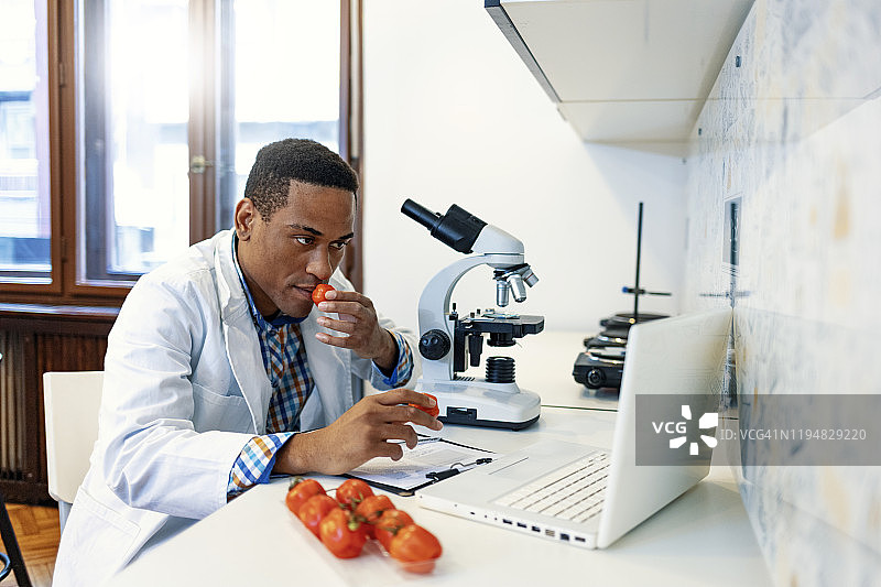 转基因蔬菜图片素材