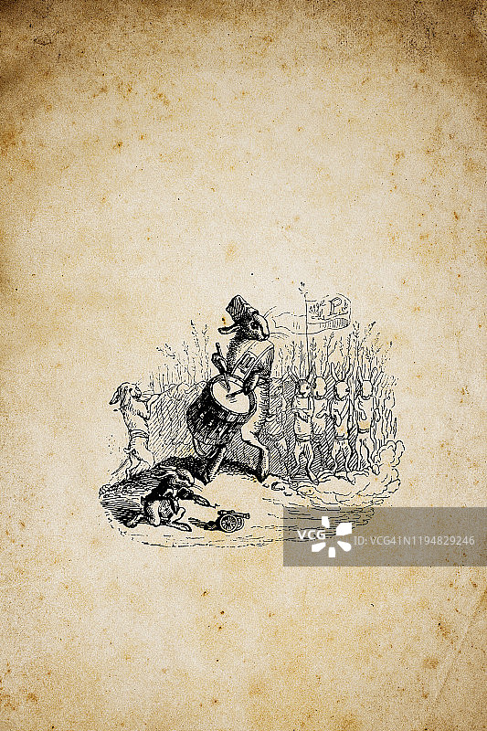 拟人化动物插画：兔子军团图片素材