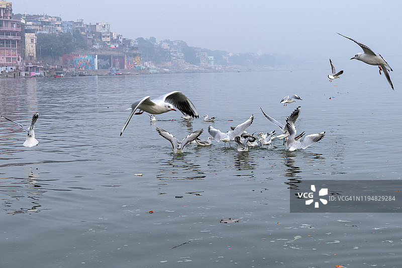 恒河风光图片素材