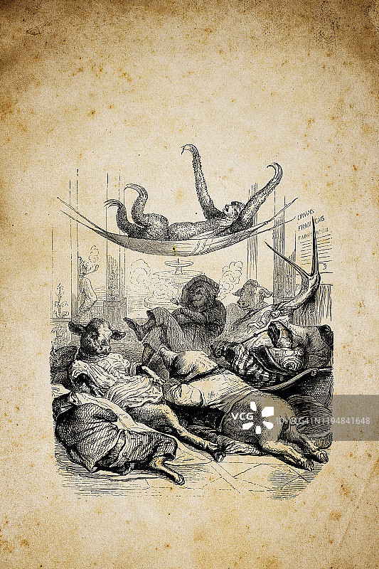 拟人化动物插画：吸烟和放松图片素材