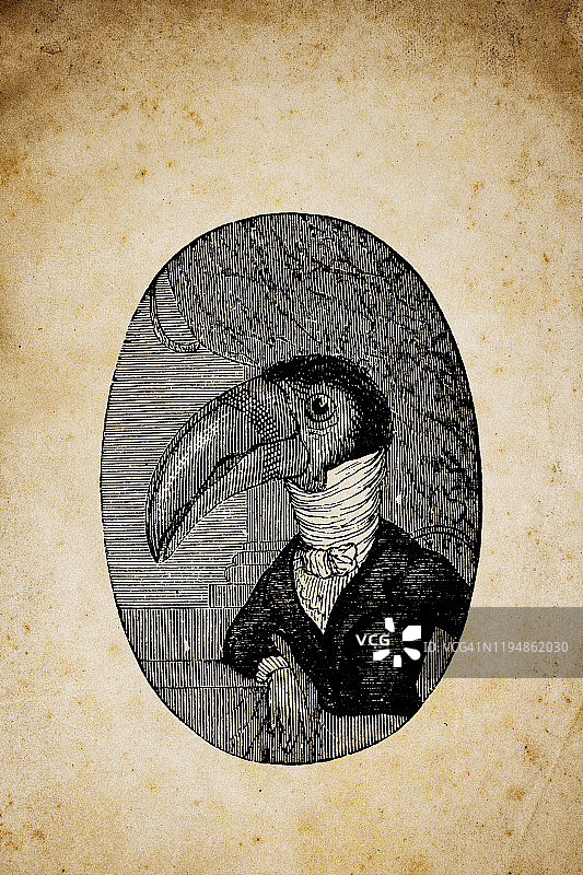 拟人化动物插画：巨嘴鸟肖像图片素材