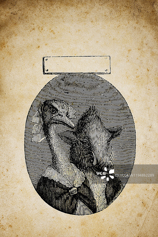 拟人化动物插画：野猪和鸵鸟肖像图片素材