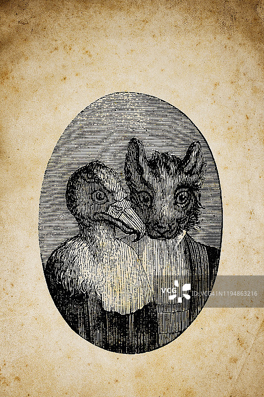 拟人化动物插画：鸟类和猫科动物的肖像图片素材