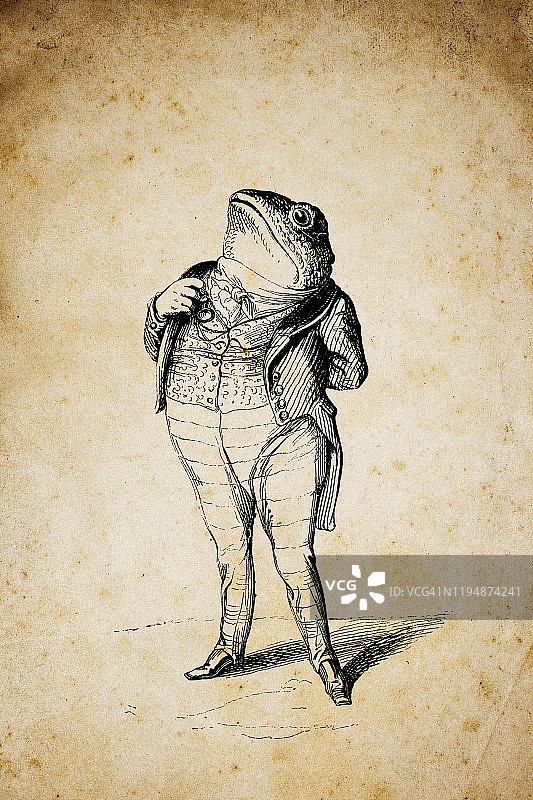 拟人化动物插画：青蛙图片素材