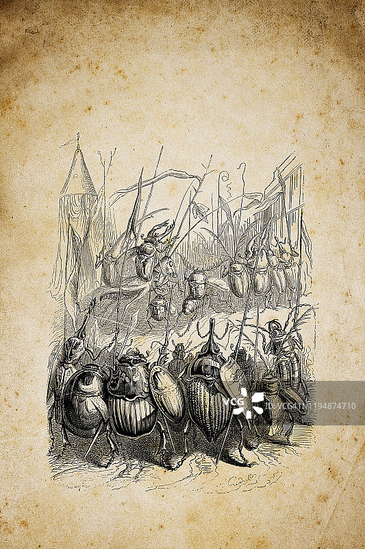 拟人化动物插画：昆虫大战图片素材