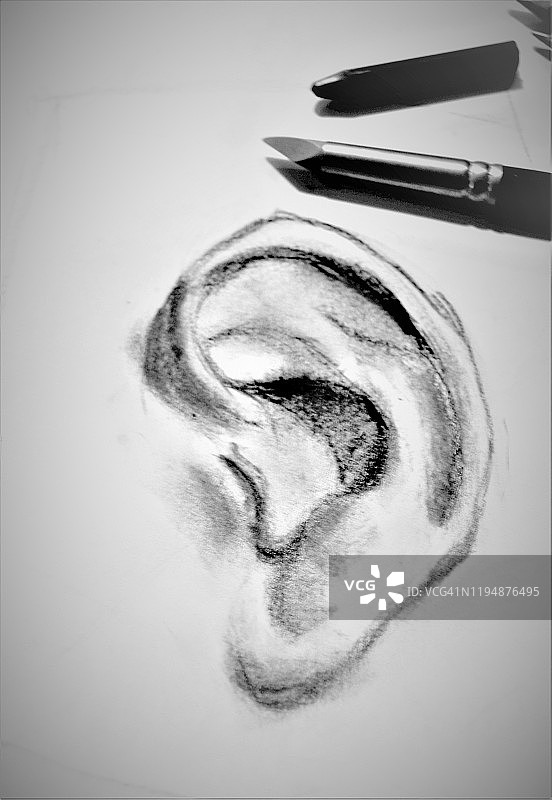 木炭耳朵研究图片素材