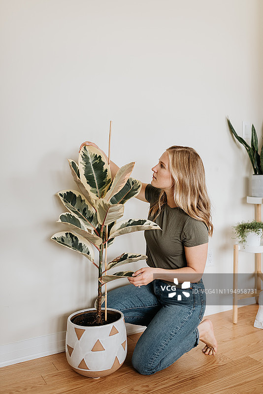 女人照料室内植物图片素材