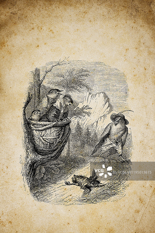 拟人化动物插画：鸟类图片素材