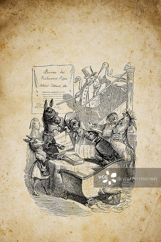 拟人化动物插图图片素材