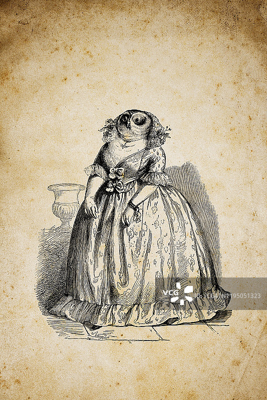 拟人化动物插画：猫头鹰图片素材