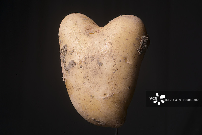 心形土豆图片素材