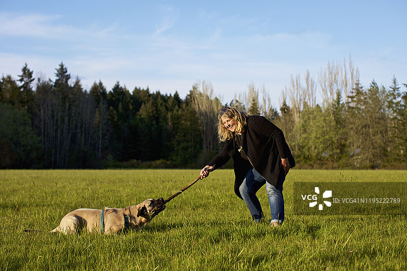 女人和狗在阳光明媚的乡村田野里玩树枝图片素材