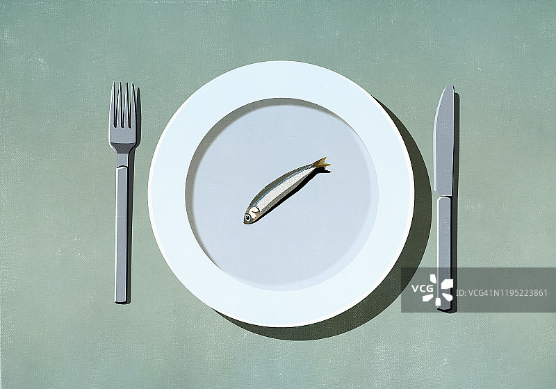 盘中的沙丁鱼图片素材