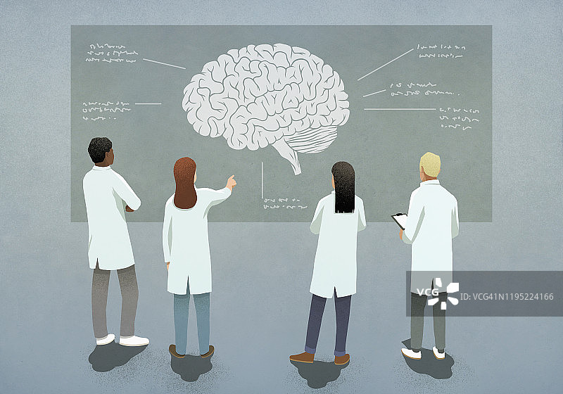 科学家讨论大脑图图片素材