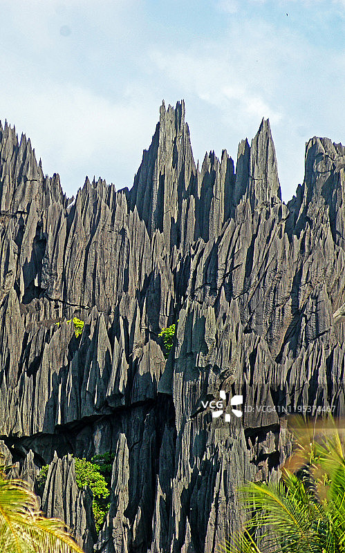 新喀里多尼亚岛耶恩根图片素材