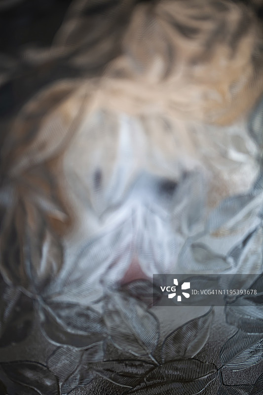 抽象的背景图片素材