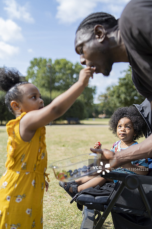 父亲和两个孩子在公园的草地上吃水果图片素材